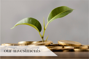 Our goals are to steadily grow our portfolio of assets across our business lines.