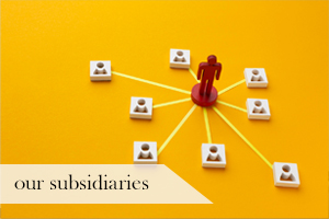 We are home to a number of unique, growing brands and have leading market positions in a wide range of areas.